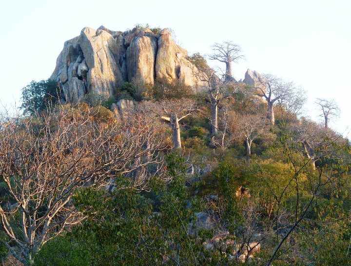 Game drive in Save Valley Conservancy